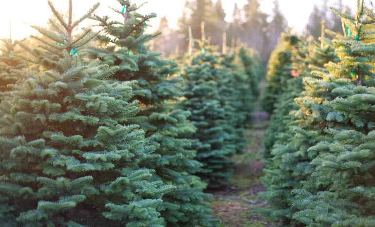 Christmas Tree - Winter Wonderland Centerpiece