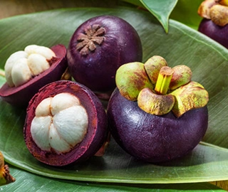 Mangosteen Tree Fruits - Nutritional Properties